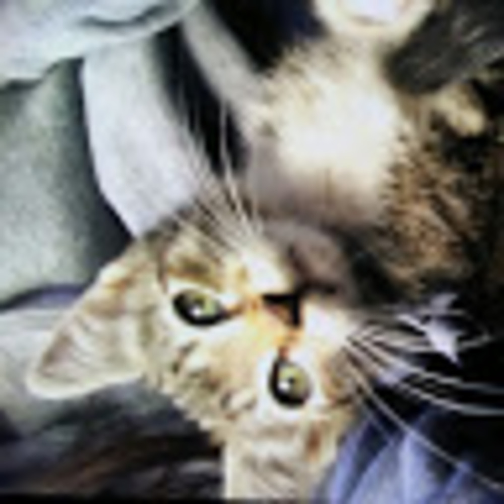 Meet your Posher, Andrea